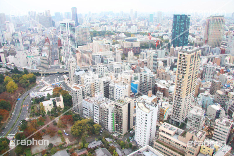 ビル群,ビル,高層ビル,マンション,オフィスビル,高層,展望台,展望,眺め,ながめ,見下ろす,港区,東京,一望,見晴,building,office