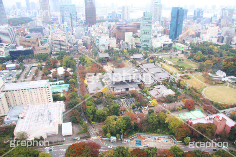 増上寺,寺,東京タワー,展望台,展望,眺め,ながめ,見下ろす,Tokyo Tower,港区,東京,一望,見晴,寺院