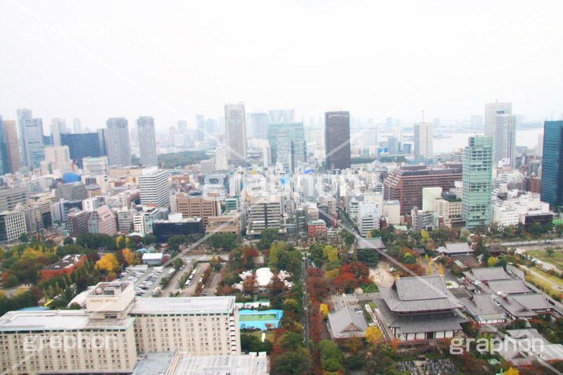東京タワー,展望台,展望,眺め,ながめ,見下ろす,Tokyo Tower,港区,東京,一望,見晴,増上寺