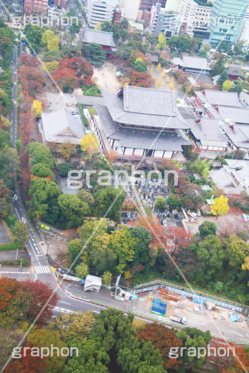 増上寺,寺,東京タワー,展望台,展望,眺め,ながめ,見下ろす,Tokyo Tower,港区,東京,一望,見晴,寺院