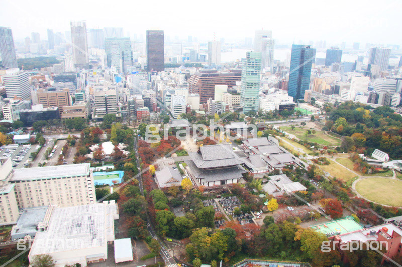 増上寺,寺,東京タワー,展望台,展望,眺め,ながめ,見下ろす,Tokyo Tower,港区,東京,一望,見晴,寺院