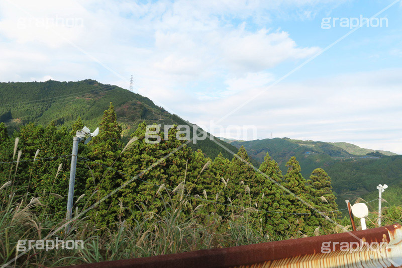 山,やま,自然,空,景色,山頂,雲,地形,木々,草木,絶景,眺め,標高