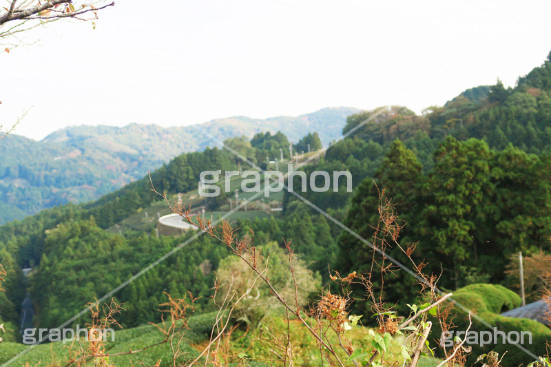 山,やま,自然,空,景色,山頂,雲,地形,木々,草木,絶景,眺め,標高
