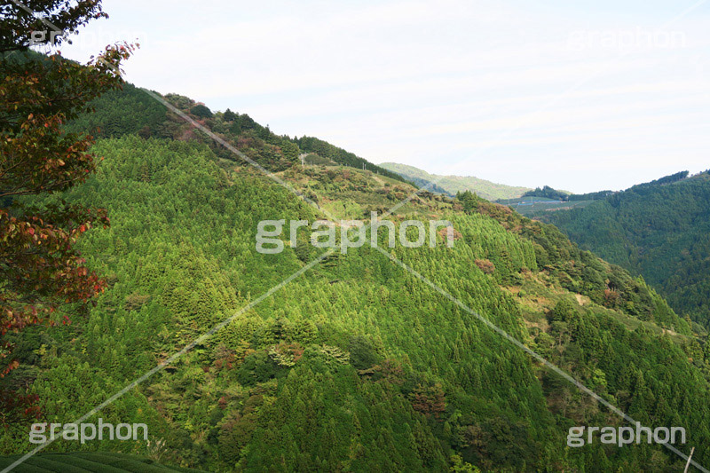 山,やま,自然,空,景色,山頂,雲,地形,木々,草木,絶景,眺め,標高