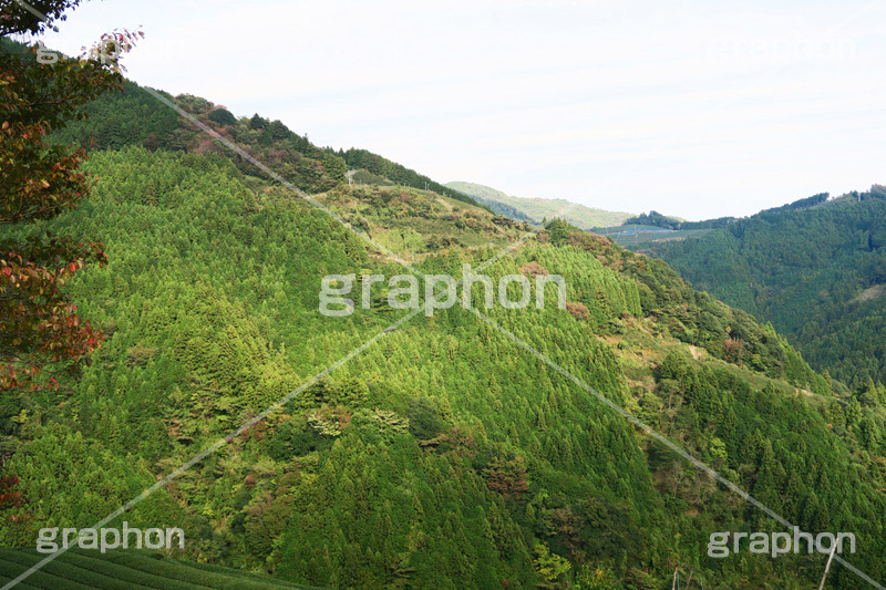 山,やま,自然,空,景色,山頂,雲,地形,木々,草木,絶景,眺め,標高