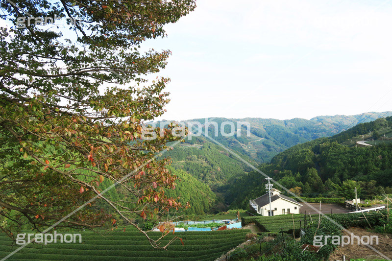 山,やま,自然,空,景色,山頂,雲,地形,木々,草木,絶景,眺め,標高