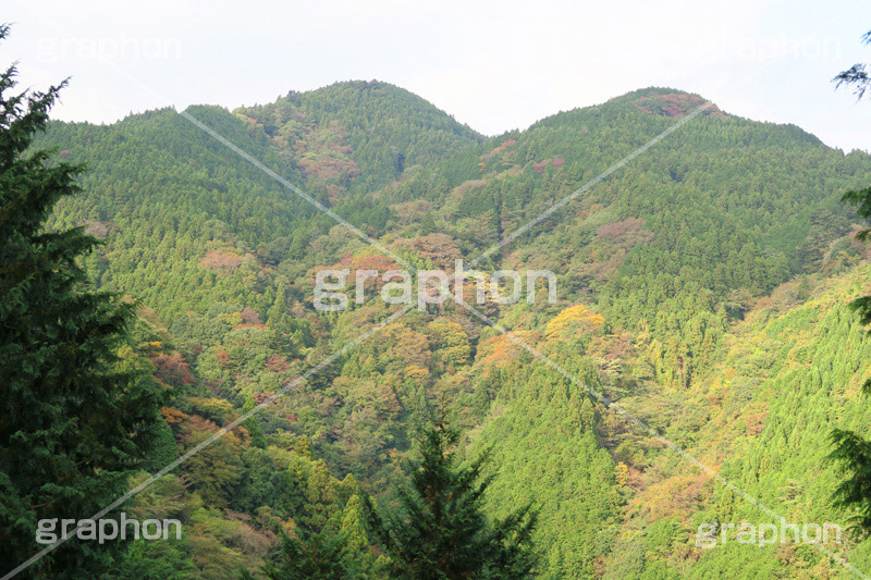 山,やま,自然,空,景色,山頂,雲,地形,木々,草木,絶景,眺め,標高
