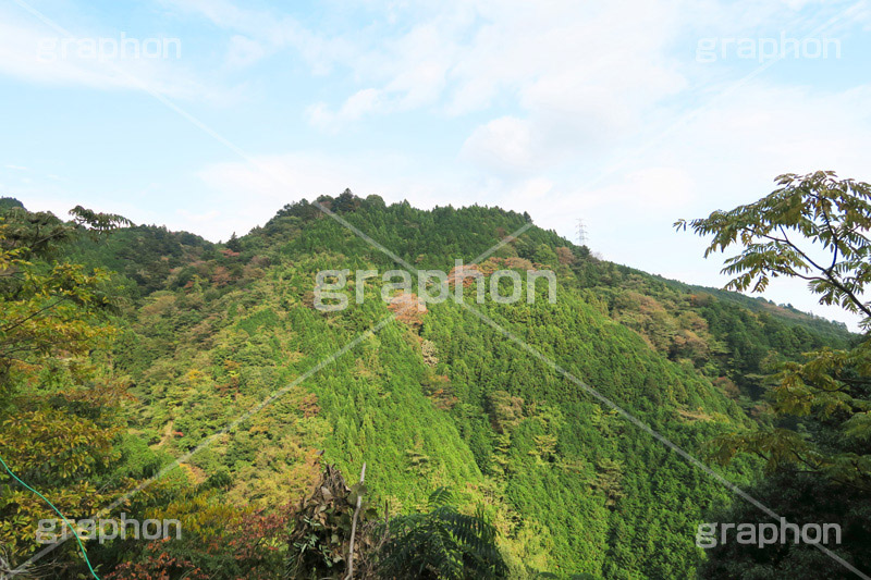 山,やま,自然,空,景色,山頂,雲,地形,木々,草木,絶景,眺め,標高