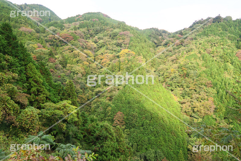 山,やま,自然,空,景色,山頂,雲,地形,木々,草木,絶景,眺め,標高