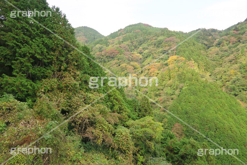 山,やま,自然,空,景色,山頂,雲,地形,木々,草木,絶景,眺め,標高