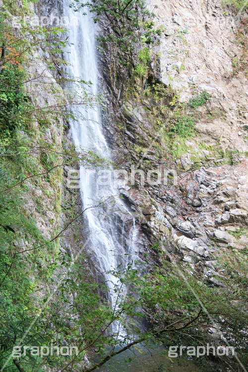 滝,瀧,たき,流れ,落下,瀑布,飛瀑,自然,絶景,マイナスイオン,イオン,静岡県,宇嶺の滝,お君の滝