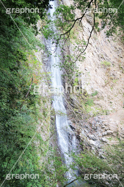 滝,瀧,たき,流れ,落下,瀑布,飛瀑,自然,絶景,マイナスイオン,イオン,静岡県,宇嶺の滝,お君の滝