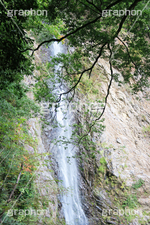 滝,瀧,たき,流れ,落下,瀑布,飛瀑,自然,絶景,マイナスイオン,イオン,静岡県,宇嶺の滝,お君の滝