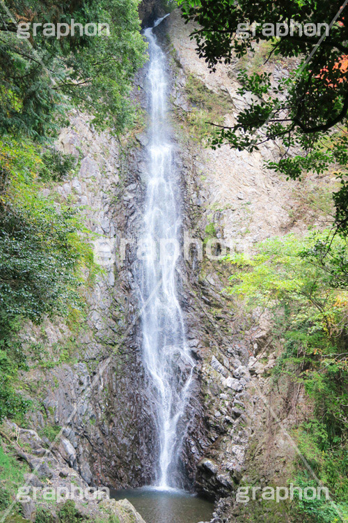 滝,瀧,たき,流れ,落下,瀑布,飛瀑,自然,絶景,マイナスイオン,イオン,滝つぼ,滝壺,静岡県,宇嶺の滝,お君の滝