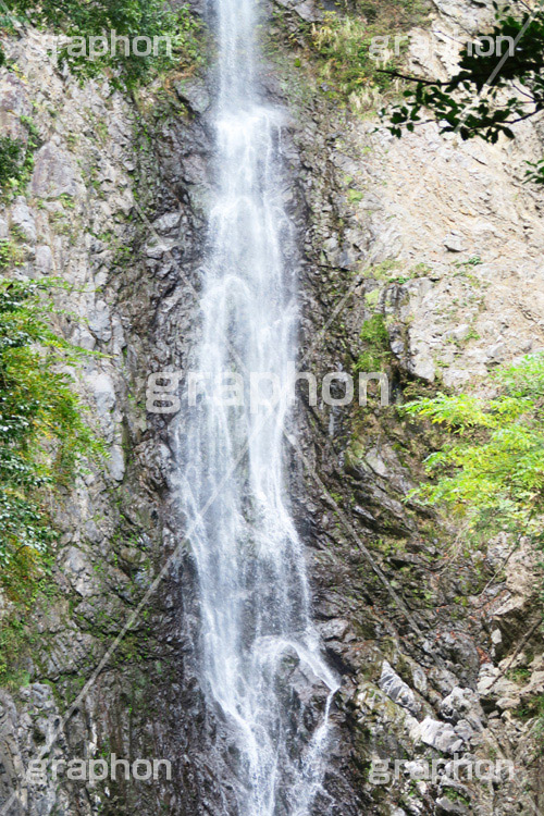 滝,瀧,たき,流れ,落下,瀑布,飛瀑,自然,絶景,マイナスイオン,イオン,静岡県,宇嶺の滝,お君の滝