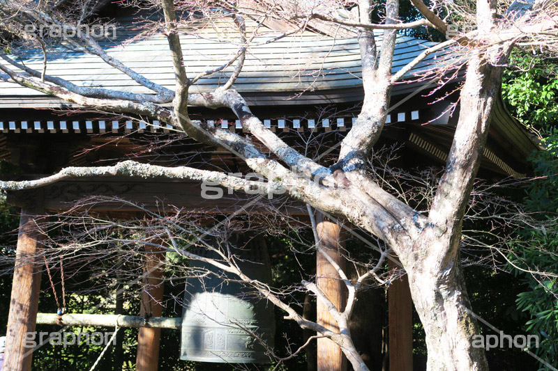 寺の鐘,寺,お寺,てら,鐘,銅鐘,除夜の鐘,鳴らす,参拝,お参り,釣鐘,梵鐘,半鐘,突く,寺院,大晦日,お正月,正月,除夜の鐘,新年,年明け,年越し,年末,初詣,12/31,1/1,イベント,temple,japan,new year