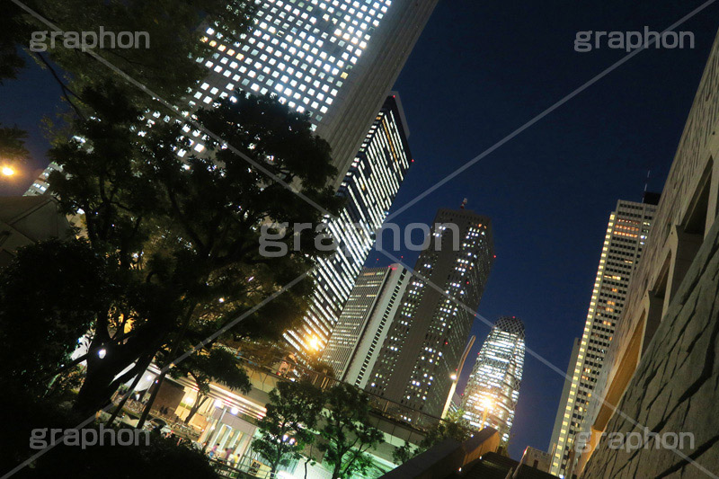 新宿の夜景,新宿,夜景,景色,都庁前,東京,夜,ビル,ビル群,残業,高層ビル,オフィスビル,ビジネス街,shinjuku,building,office