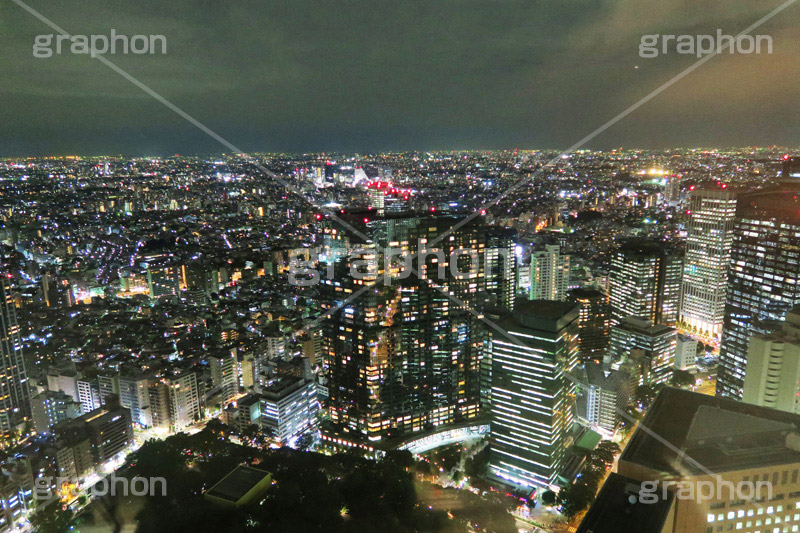 新宿の夜景,新宿,夜景,景色,展望,展望台,都庁,東京,夜,ビル,ビル群,残業,高層ビル,オフィスビル,ビジネス街,電力,電気,shinjuku,building,office