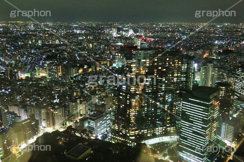 新宿の夜景,新宿,夜景,景色,展望,展望台,都庁,東京,夜,ビル,ビル群,残業,高層ビル,オフィスビル,ビジネス街,電力,電気,shinjuku,building,office