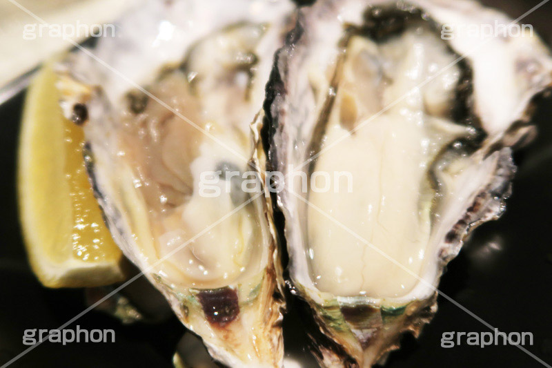 生ガキ,生,かき,カキ,牡蠣,貝,甲殻類,魚介,魚介類,海鮮,シーフード,生もの,居酒屋,ツマミ,つまみ,日本食,和食,日本料理,グルメ,おつまみ