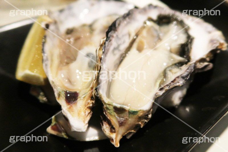 生ガキ,生,かき,カキ,牡蠣,貝,甲殻類,魚介,魚介類,海鮮,シーフード,生もの,居酒屋,ツマミ,つまみ,日本食,和食,日本料理,おつまみ