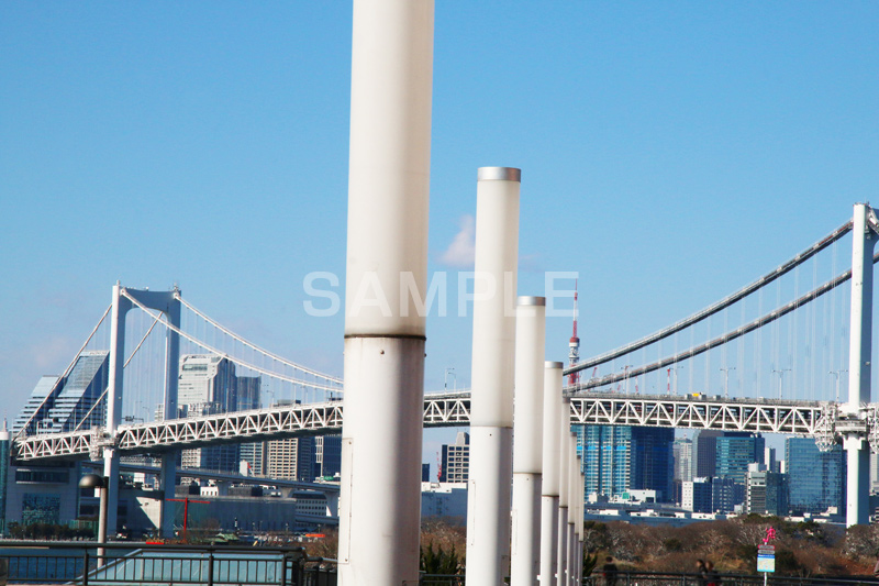 レインボーブリッジ,橋,ブリッジ,吊り橋,東京港連絡橋,お台場,台場,DAIBA,東京都港区台場,東京臨海副都心,御台場,東京湾,港区