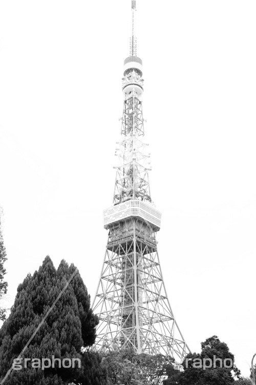 東京タワー,モノクロ,白黒,しろくろ,モノクローム,単色画,単彩画,単色