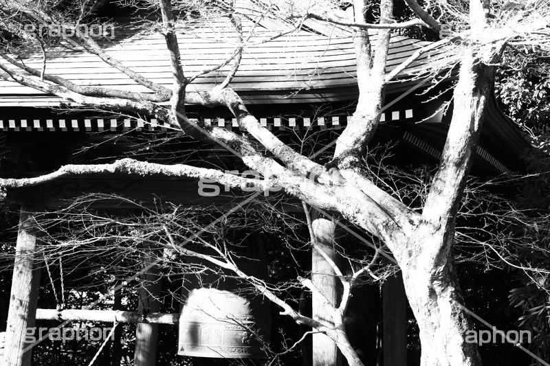 寺の鐘,モノクロ,白黒,しろくろ,モノクローム,単色画,単彩画,単色,大晦日,お正月,正月,除夜の鐘,temple,japan