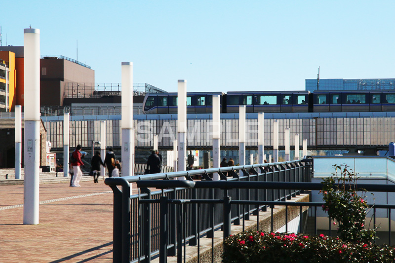 お台場,台場,DAIBA,東京都港区台場,東京臨海副都心,御台場,東京湾,港区