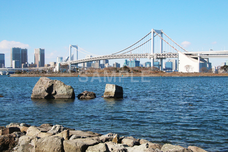 レインボーブリッジ,橋,ブリッジ,吊り橋,東京港連絡橋,お台場,台場,DAIBA,東京都港区台場,東京臨海副都心,御台場,東京湾,港区,オリンピック,olympic