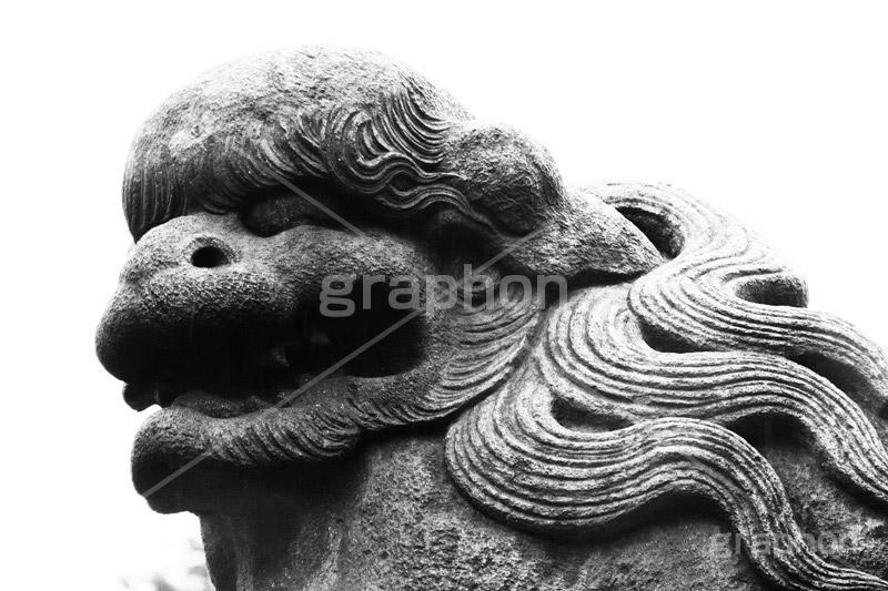 こま犬,モノクロ,白黒,しろくろ,モノクローム,単色画,単彩画,単色