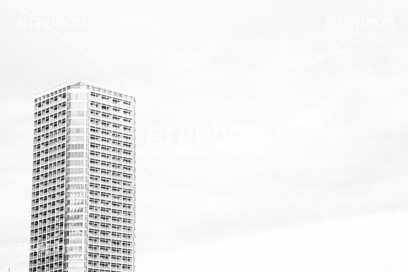 二子玉,モノクロ,白黒,しろくろ,モノクローム,単色画,単彩画,単色
