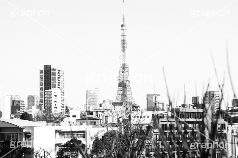 東京タワー,モノクロ,白黒,しろくろ,モノクローム,単色画,単彩画,単色