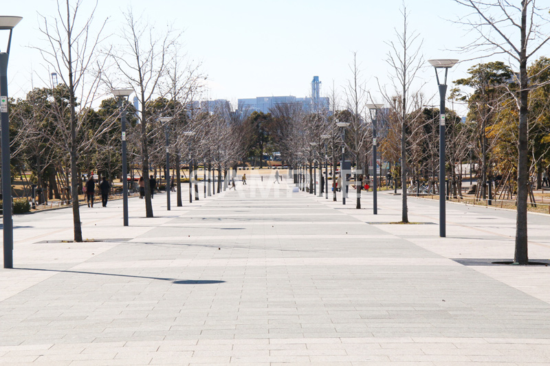 お台場,台場,DAIBA,東京都港区台場,東京臨海副都心,御台場,東京湾,港区
