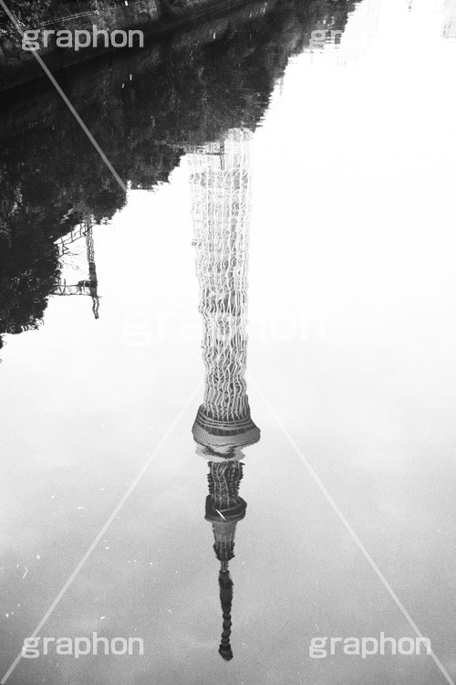 逆さスカイツリー,モノクロ,白黒,しろくろ,モノクローム,単色画,単彩画,単色,tower,japan,タワー