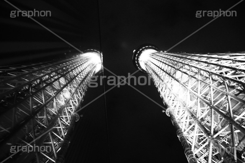 反射スカイツリー,モノクロ,白黒,しろくろ,モノクローム,単色画,単彩画,単色,tower,japan,タワー