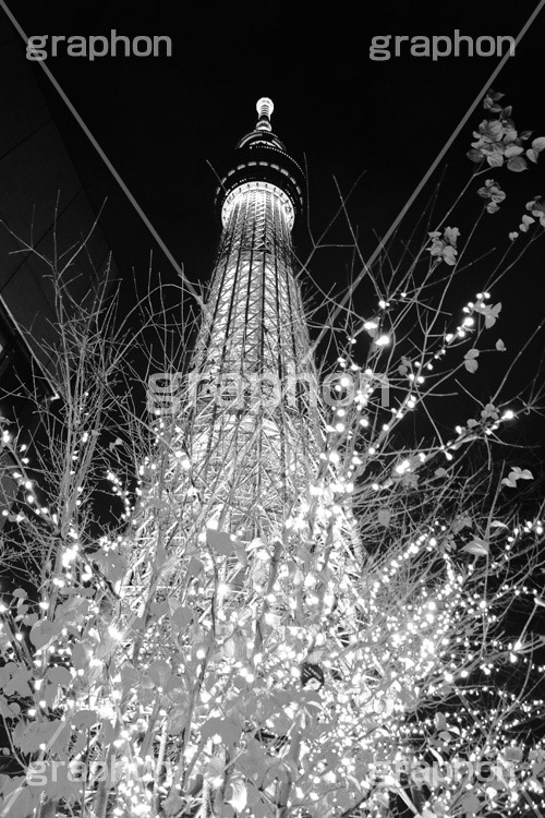 スカイツリー夜景,モノクロ,白黒,しろくろ,モノクローム,単色画,単彩画,単色,tower,japan,タワー