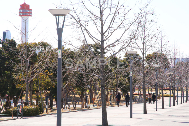 お台場,台場,DAIBA,東京都港区台場,東京臨海副都心,御台場,東京湾,港区
