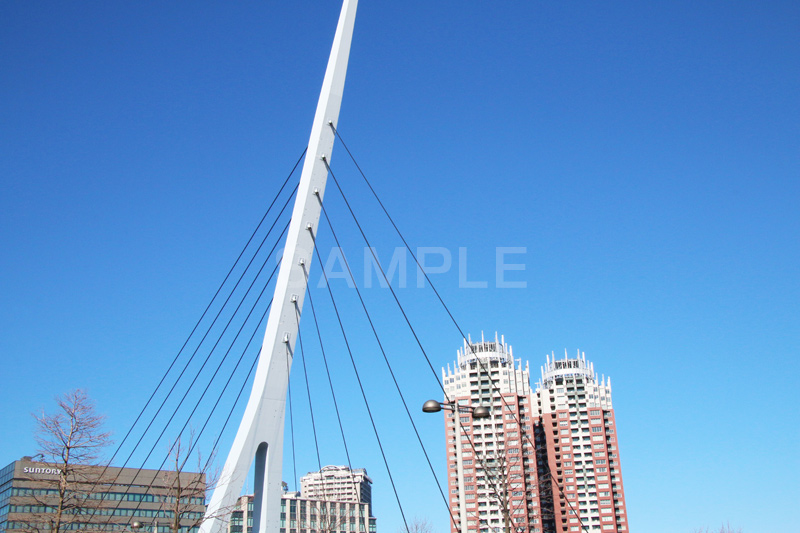 お台場,台場,DAIBA,東京都港区台場,東京臨海副都心,御台場,東京湾,港区