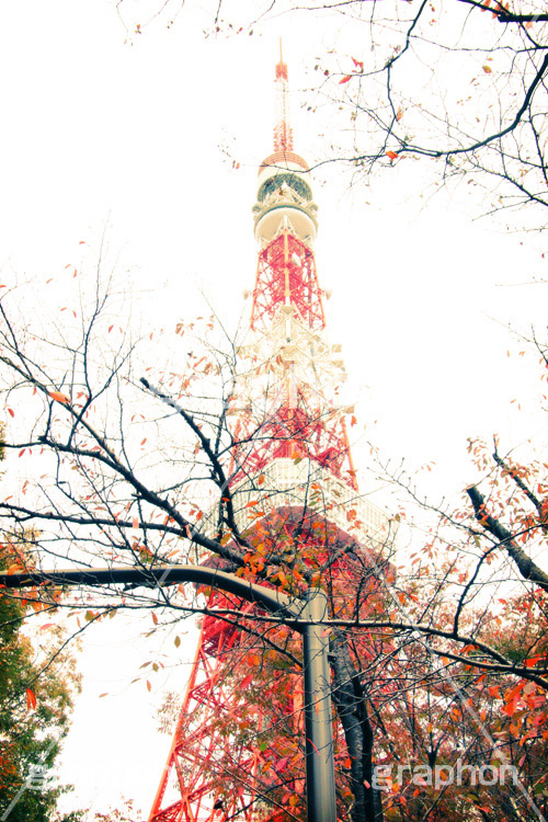 秋の東京タワー,トイカメラ撮影,トイカメラ,ヴィンテージ,ビンテージ,レトロ,お洒落,おしゃれ,オシャレ,味わい,トンネル効果