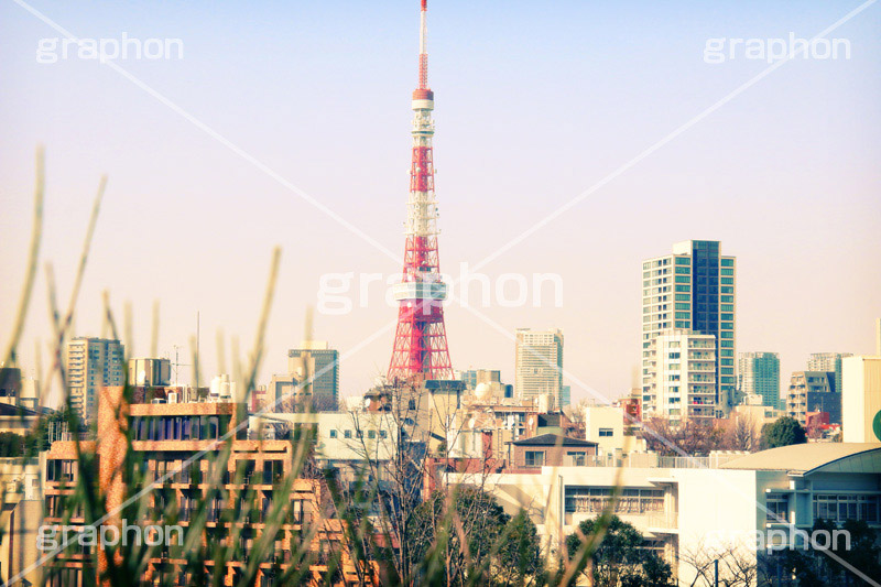 六本木からの東京タワー,トイカメラ撮影,トイカメラ,ヴィンテージ,ビンテージ,レトロ,お洒落,おしゃれ,オシャレ,味わい,トンネル効果