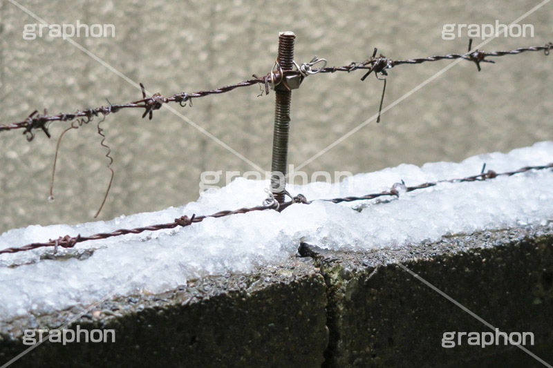 塀に積もる雪,雪,ゆき,積,塀,冬,降る,積雪,snow,winter