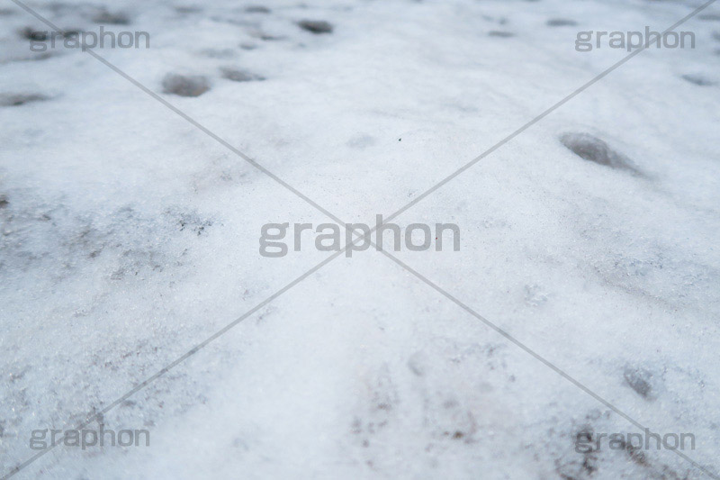 降り積もる雪,雪,ゆき,積,地面,凍り,冬,降り,積もる,滑る,積雪,snow,winter