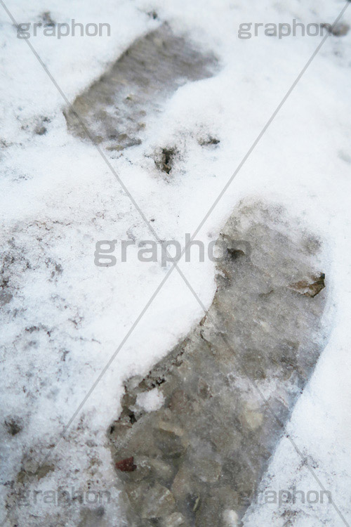 雪に足跡,雪,ゆき,積,地面,凍り,冬,足跡,跡,滑る,積雪,snow,winter