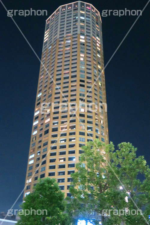 タワーマンション,マンション,高層,建物,中目黒,夜景,都会,高級,セレブ