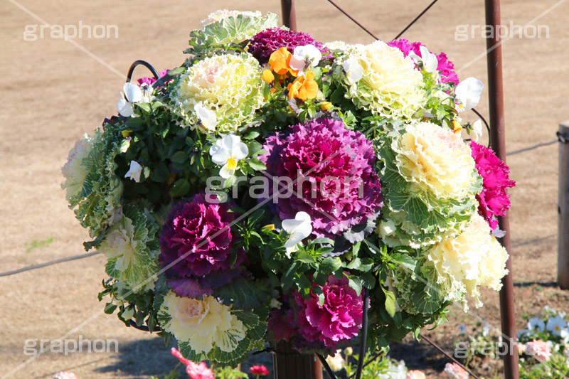 フラワートピアリー,flower,フラワー,アレンジメント,装飾,花壇,花,お花,飾り,球体,庭,園芸