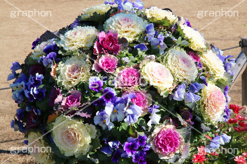 フラワートピアリー,flower,フラワー,アレンジメント,装飾,花壇,花,お花,飾り,球体,庭,園芸