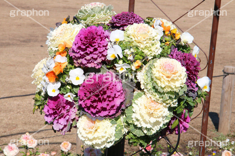 フラワートピアリー,flower,フラワー,アレンジメント,装飾,花壇,花,お花,飾り,球体,庭,園芸