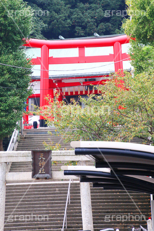 徳島眉山天神社,眉山,天神社,神社,びざん,徳島,徳島県,徳島市,観光,阿波おどり会館,shrine,japan,鳥居