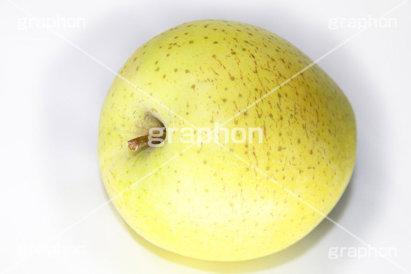 青りんご,りんご,リンゴ,アップル,apple,greenapple,果樹,果実,フルーツ,果物,くだもの,爽やか,甘酸っぱい,木の実,デザート,dessert